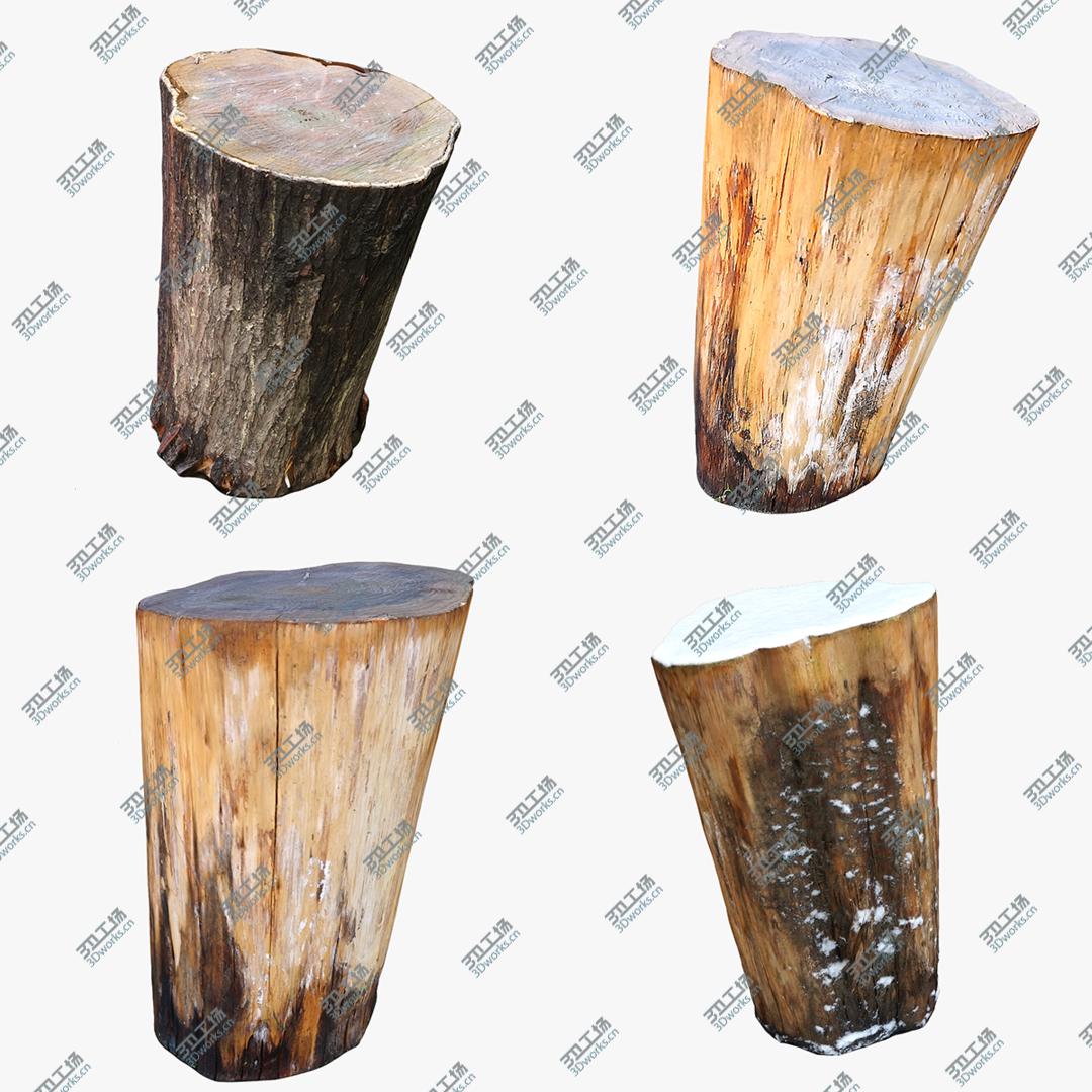 images/goods_img/20210319/Tree Stump Collection 06 3D model/1.jpg